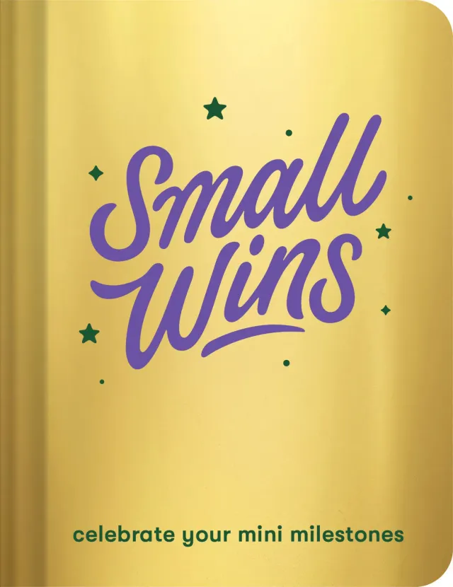 Abrams and Chronicle Small Wins journal dagbok miniseire