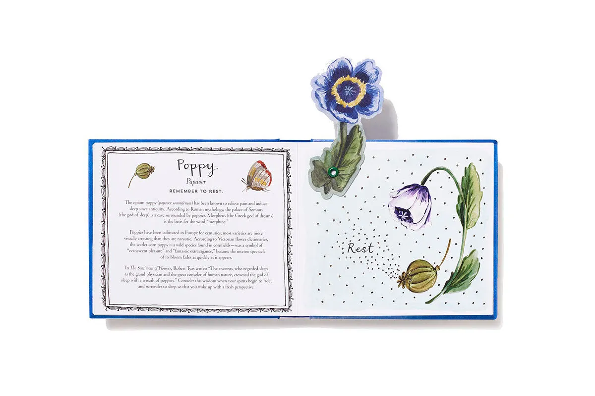 UpLifting Editions Thinking of You blomsterbok pop-up