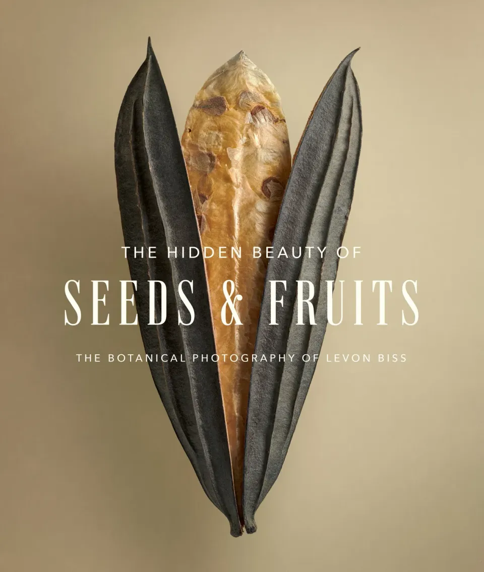 Abrams The Hidden Beauty of Seeds & Fruits innbundet bok botanisk foto