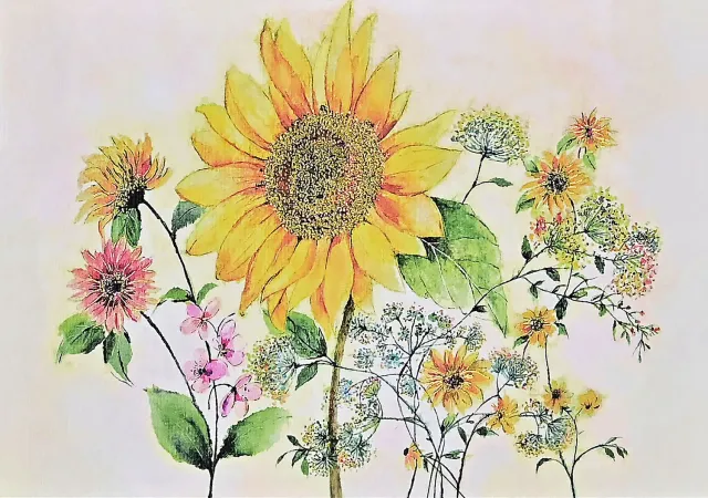 Peter Pauper Press Sunflower notatkort 14 stk