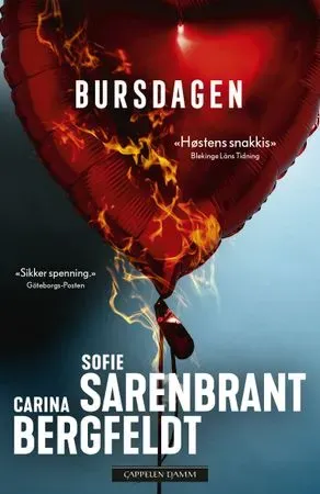 Bokia Bursdagen pocketbok pent brukt – Sarenbrant Bergfeldt krim