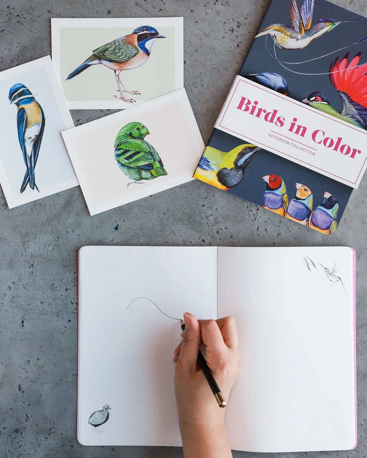 Abrams Birds in Color notatbøker 3-pakning fuglemotiv