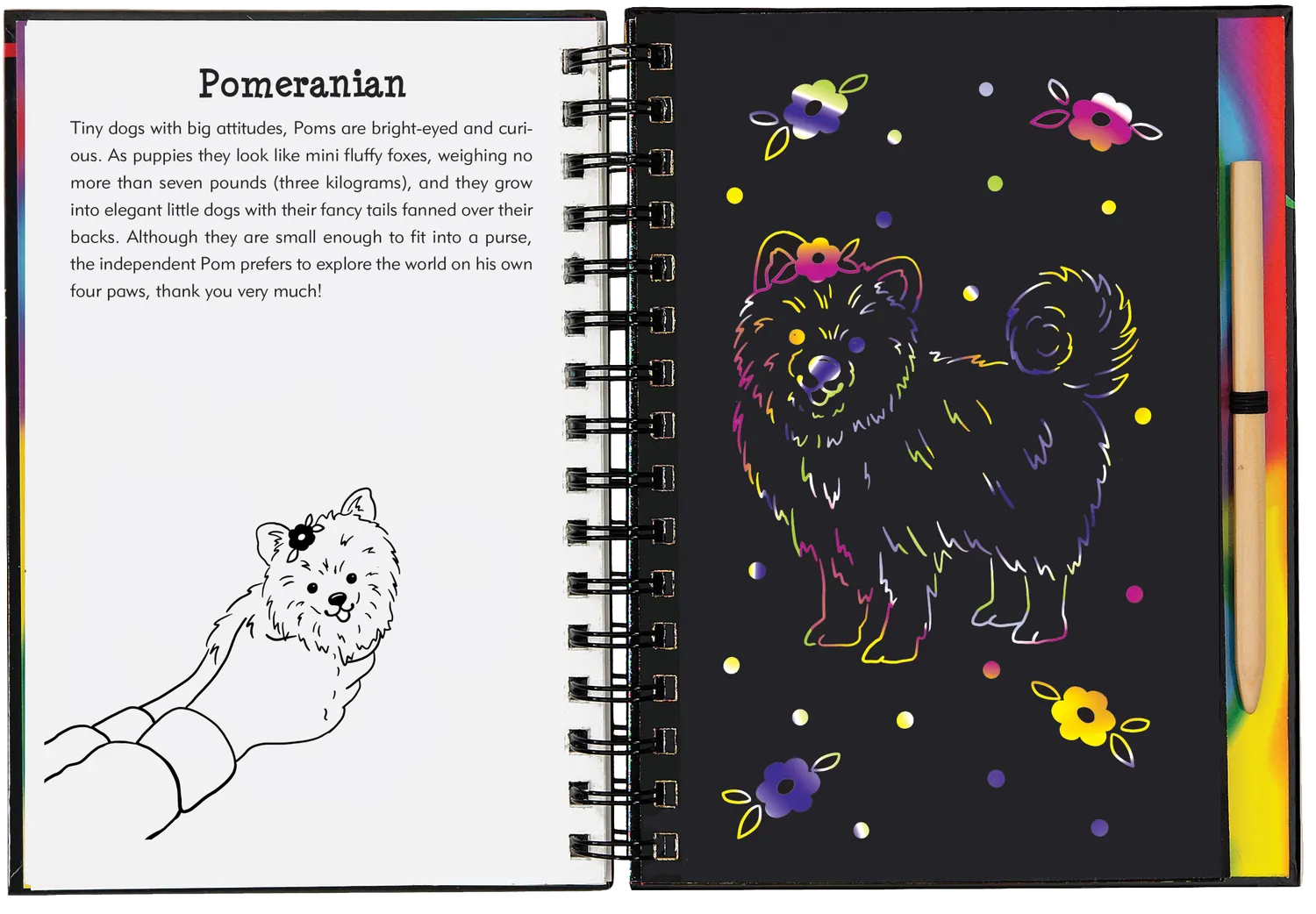 Peter Pauper Press Puppies Scratch and Sketch skrapebok