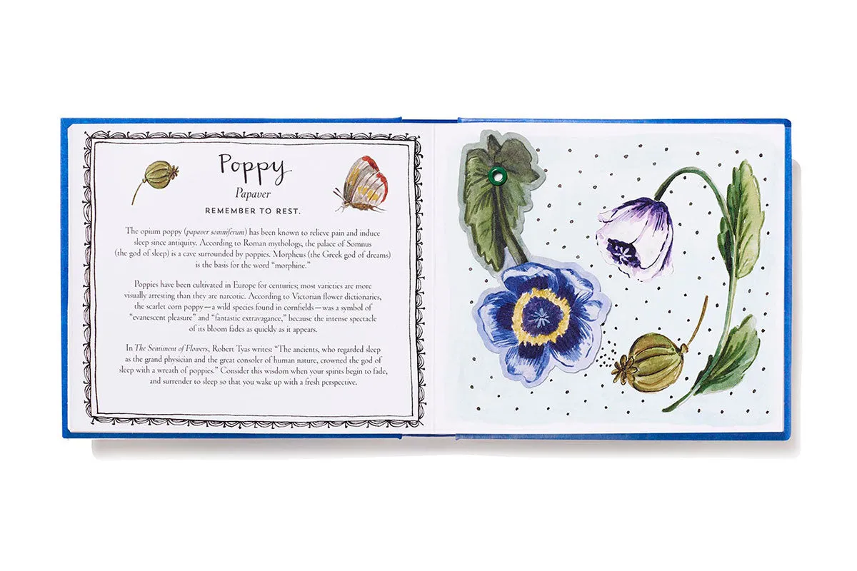 UpLifting Editions Thinking of You blomsterbok pop-up