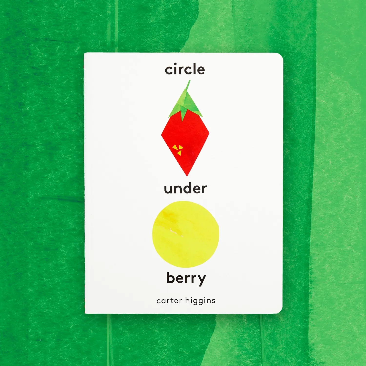 Chronicle Books Circle Under Berry bildebok former