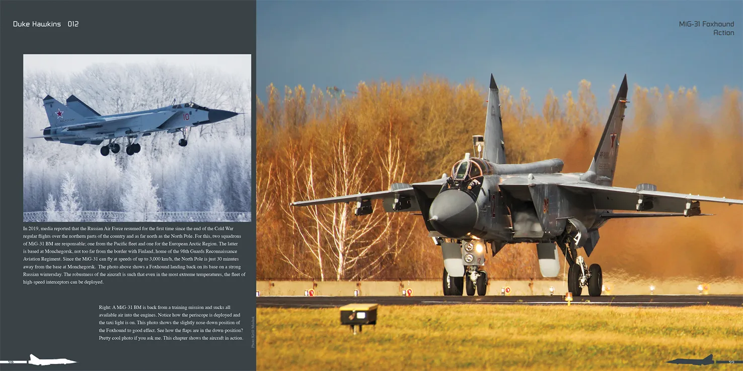 Duke Hawkins MiG-31 Foxhound bok nærbilder