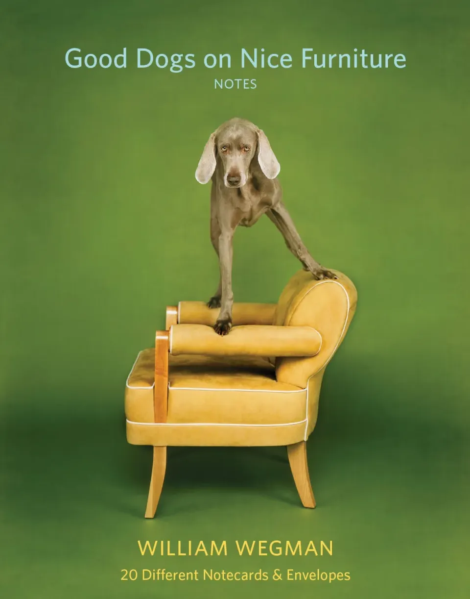 Abrams and Chronicle Good Dogs on Nice Furniture kortsett 20 kort