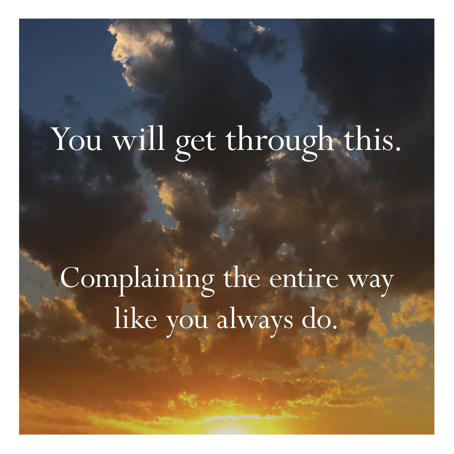 Disappointing Affirmations 2027 veggkalender 12x12