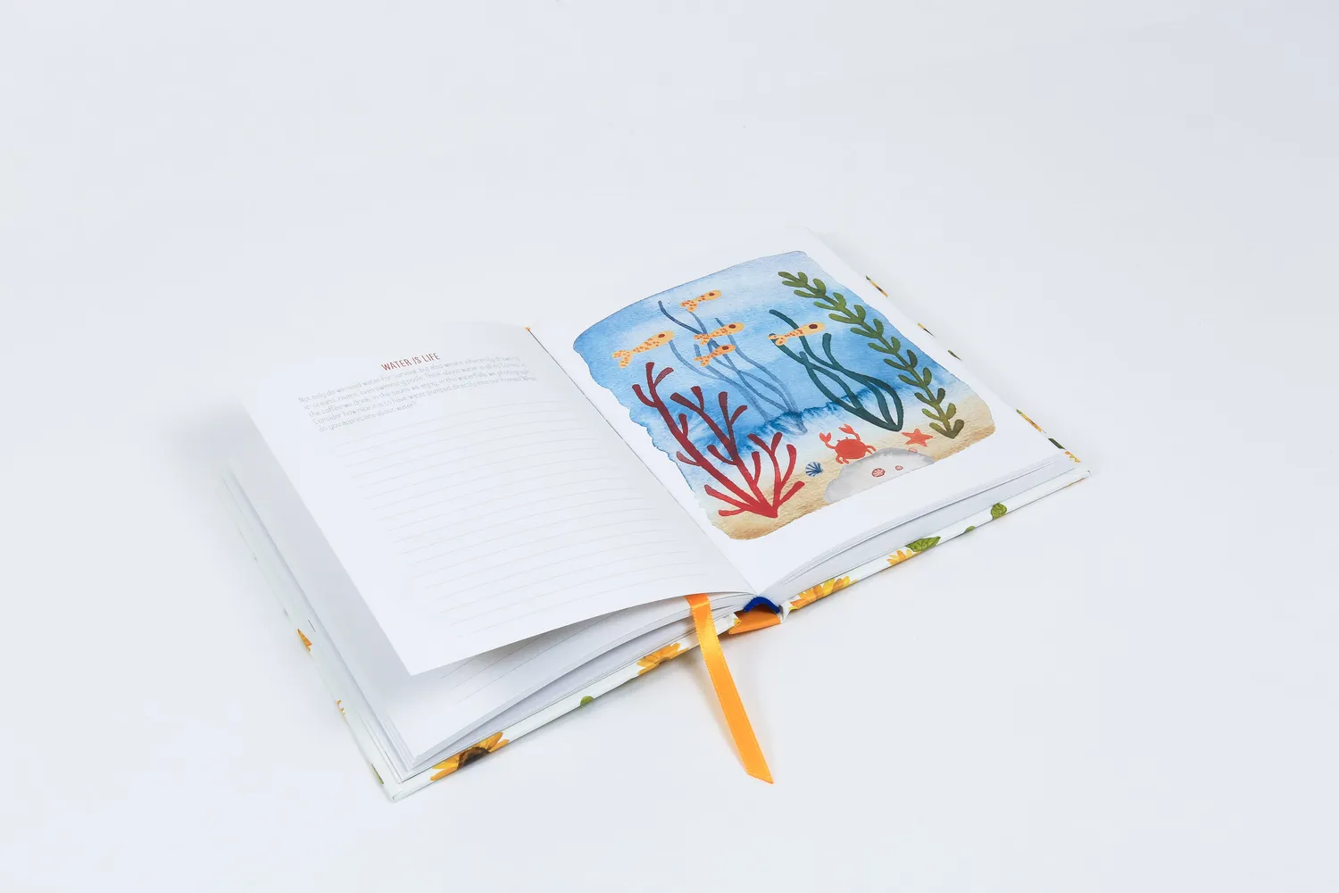 Abrams and Chronicle Life of Gratitude dagbok innbundet gave