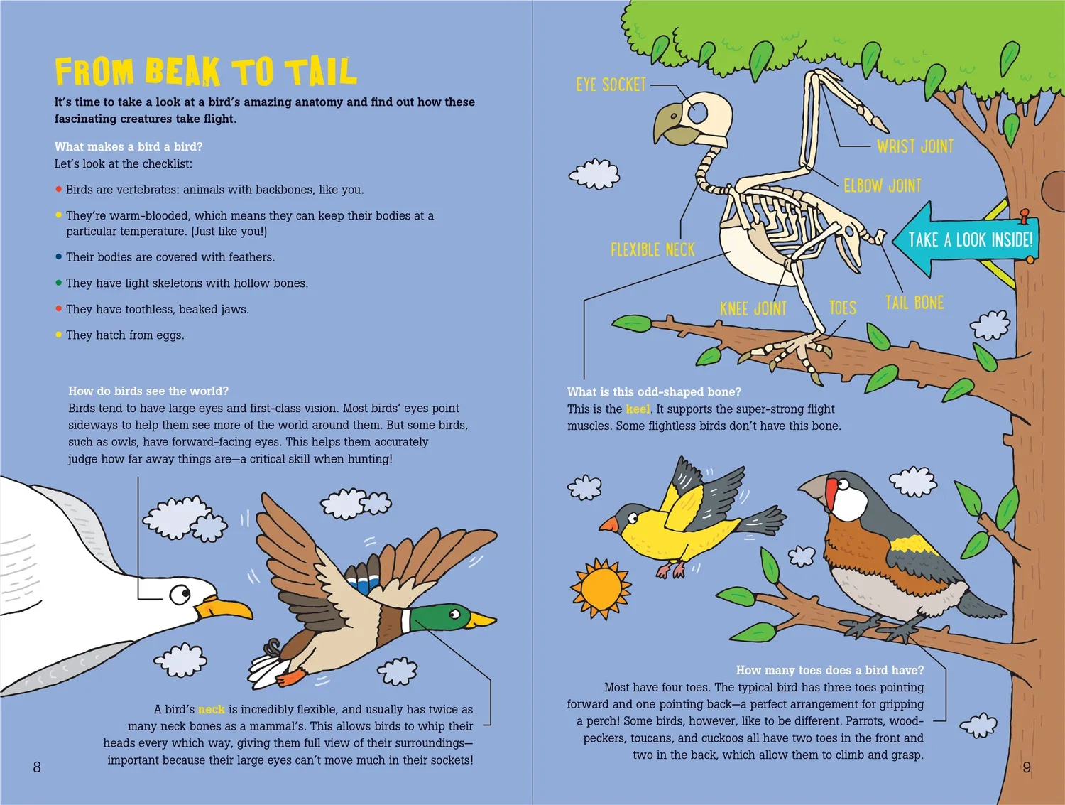 Peter Pauper Press 100 Questions about Birds faktabok