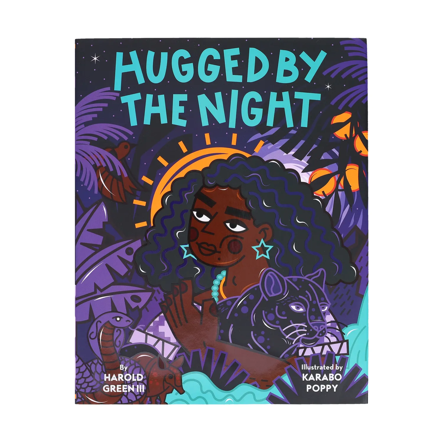 Chronicle Books Hugged by the Night bildebok innbundet natt