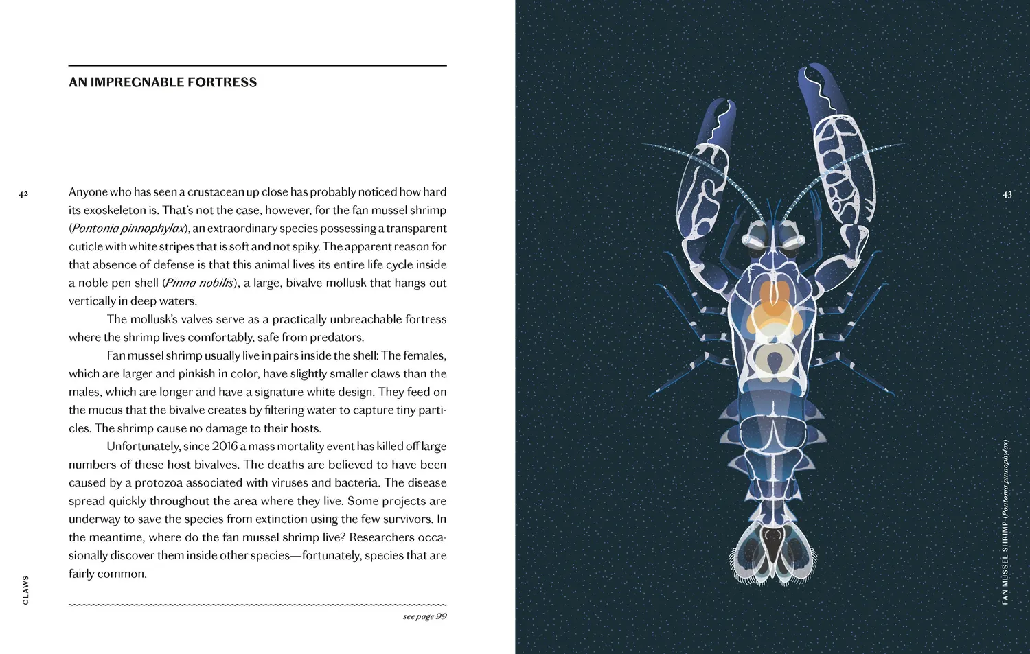 Princeton Claws Crab Lobster Shrimp innbundet naturbok havdyr