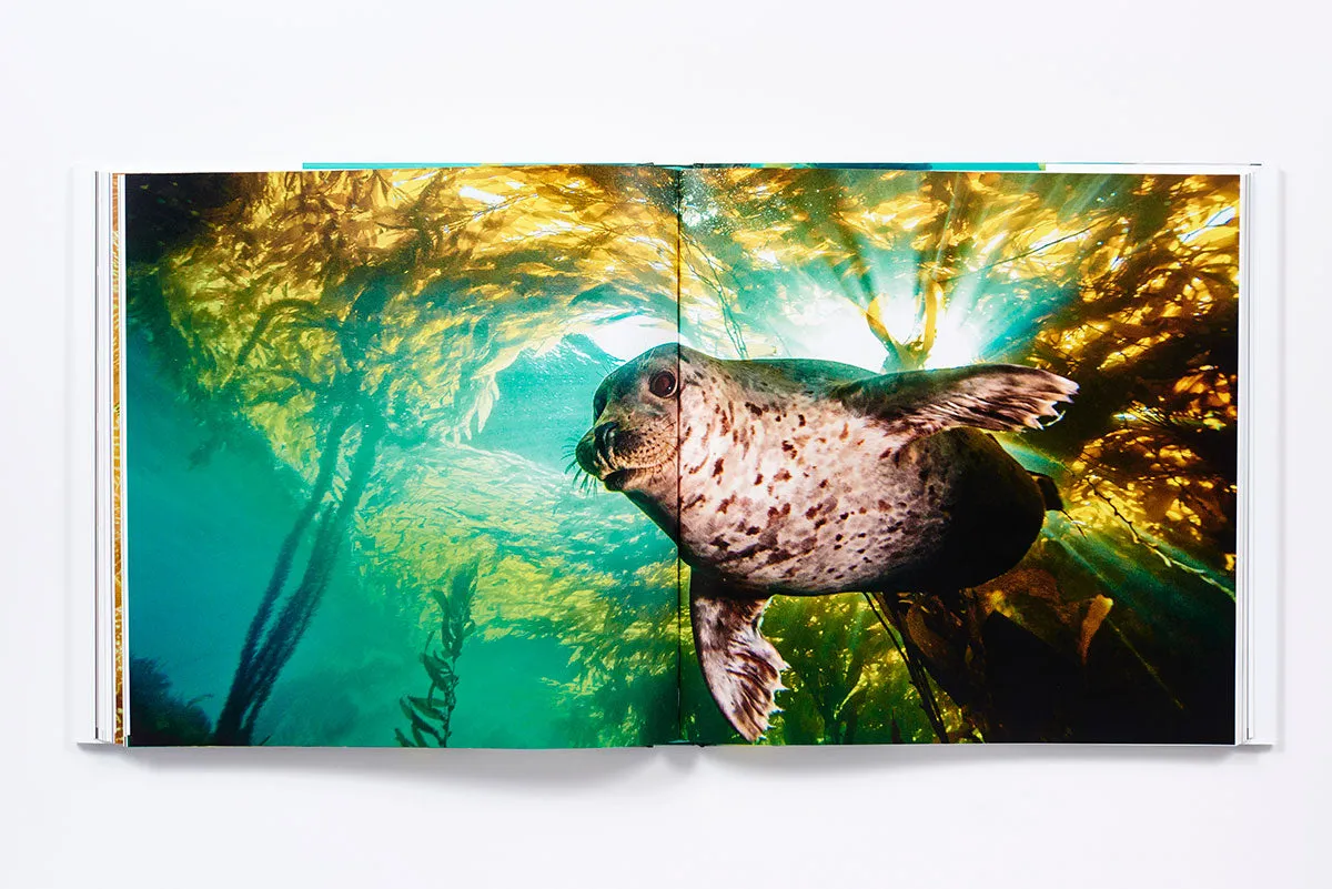 The Life & Love of the Sea innbundet fotobok havet