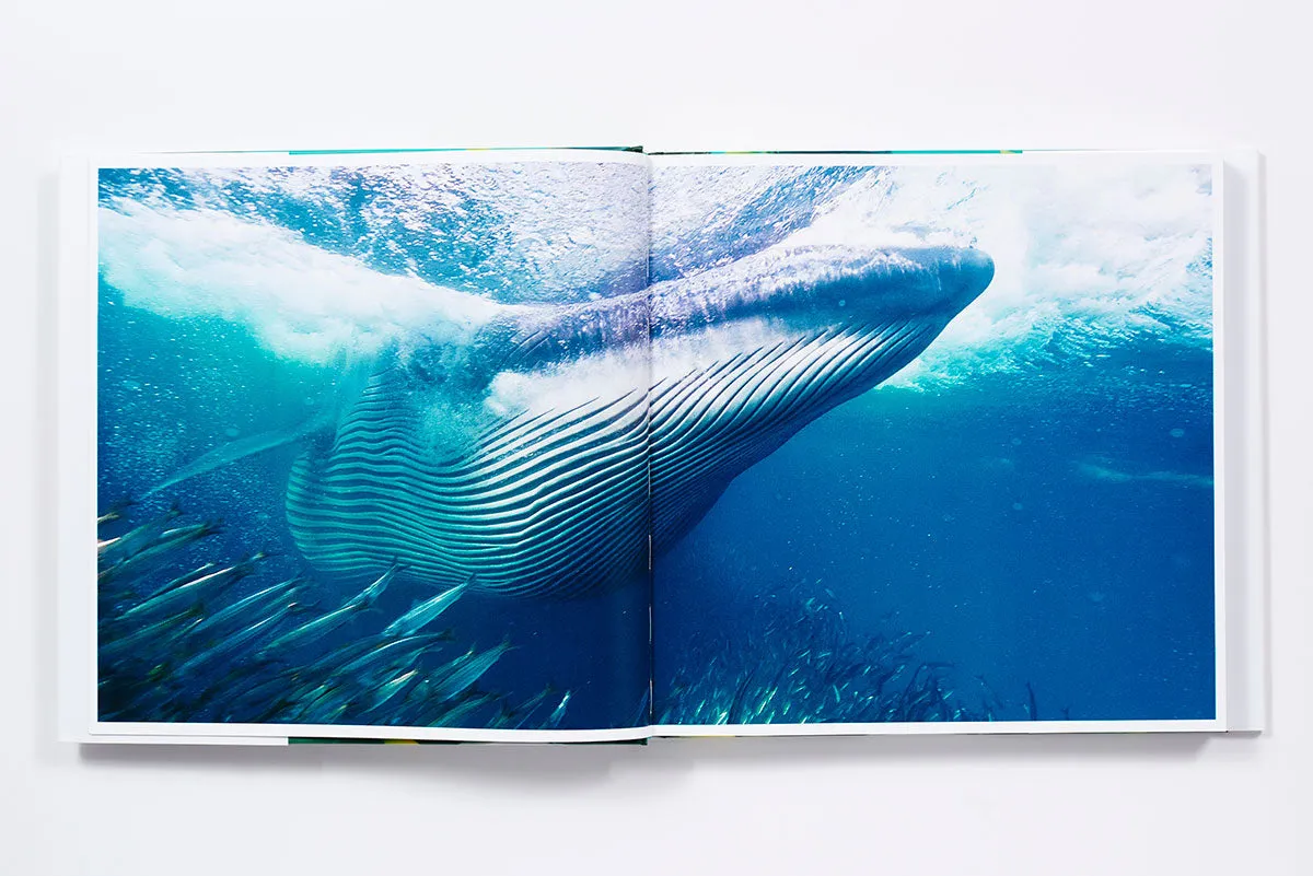 The Life & Love of the Sea innbundet fotobok havet