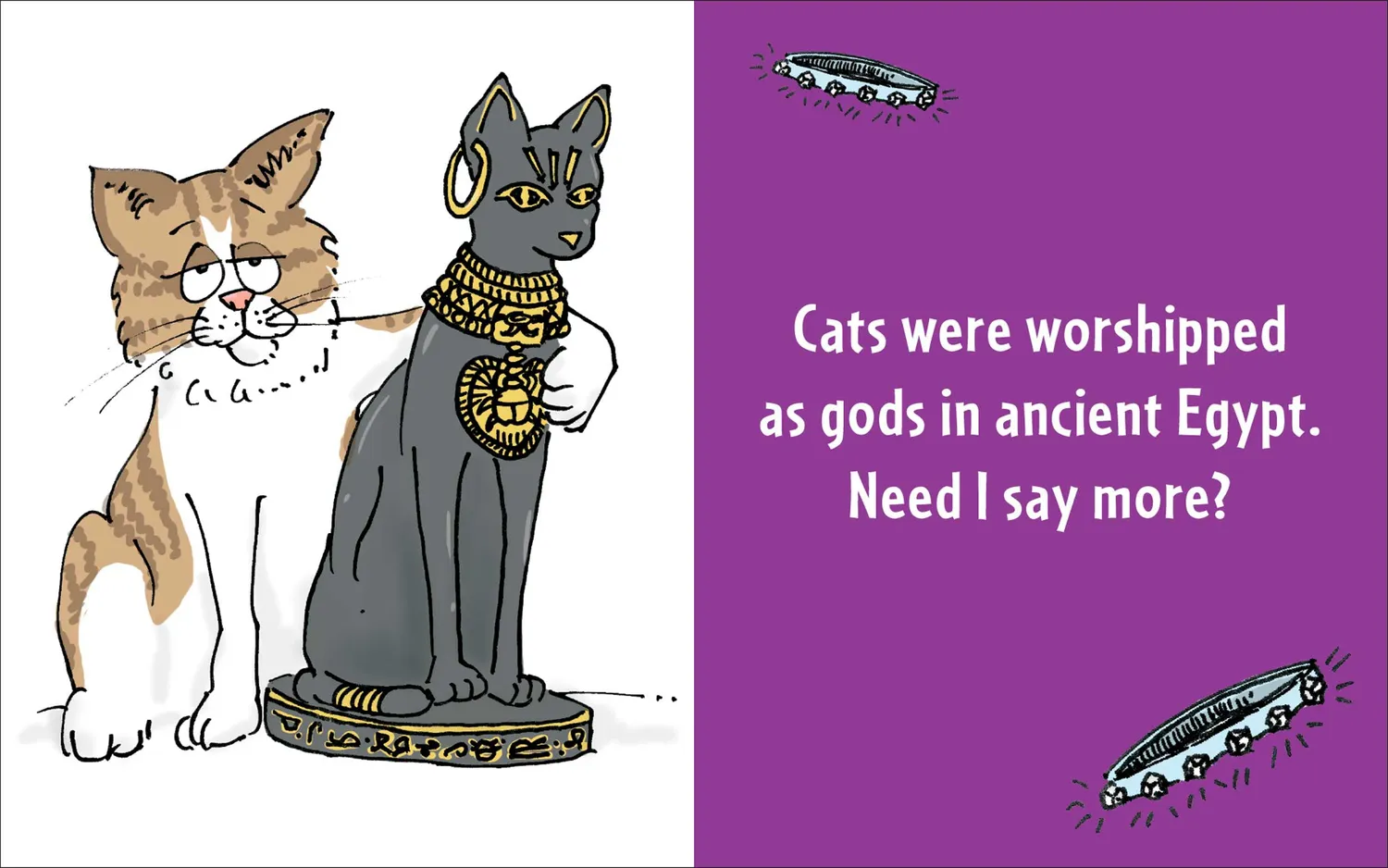 Peter Pauper Press Sh*t My Cat Says minibok katt humor