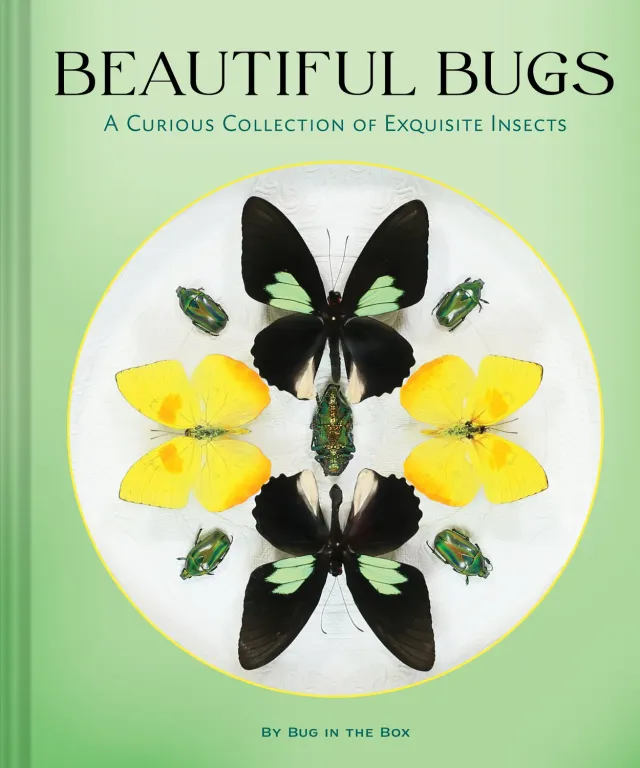 Beautiful Bugs Curious Collection insekter bildebok innbundet