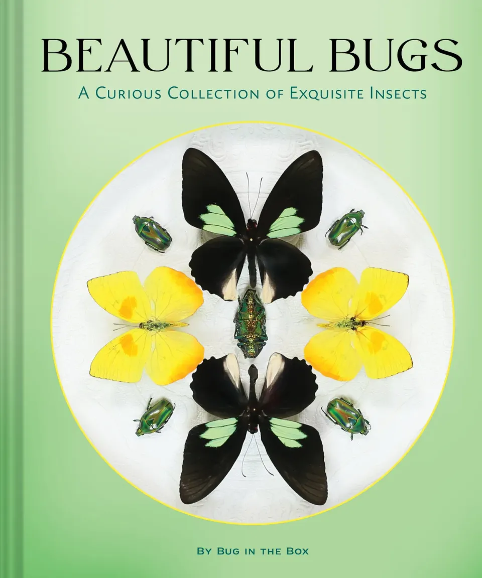 Abrams and Chronicle Beautiful Bugs innbundet faktabok insekter