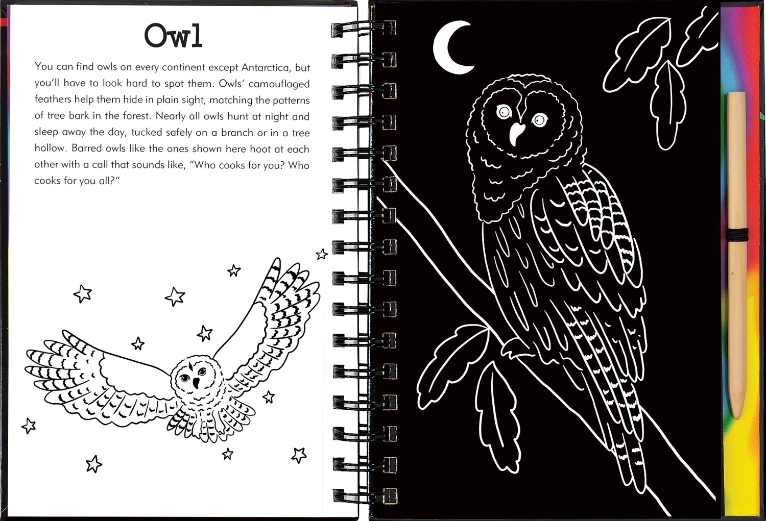 Peter Pauper Press Scratch and Sketch Forest Friends skrapebok skogdyr