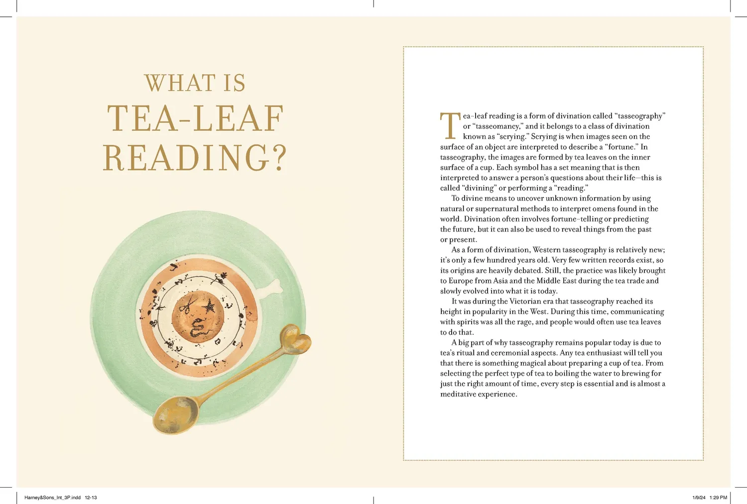 Harney & Sons How to Read Tea Leaves kortstokk guidebok