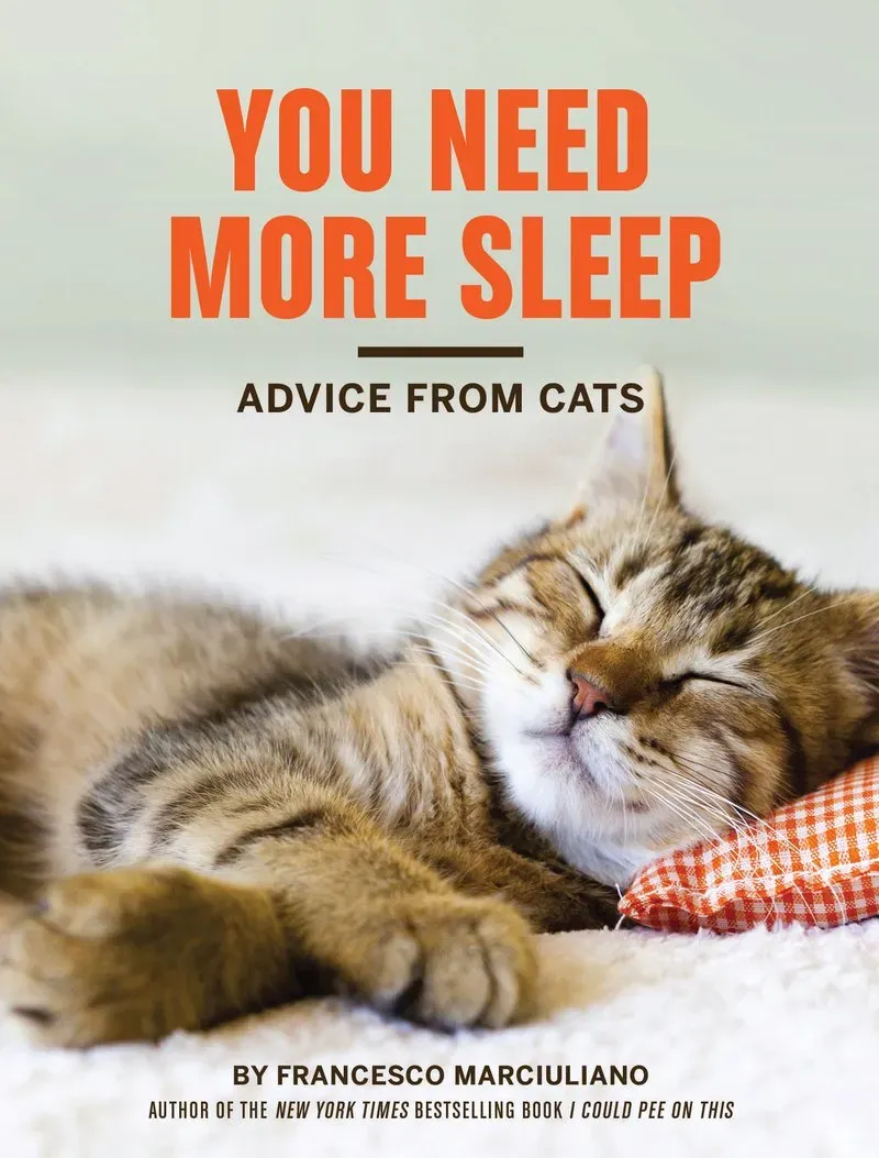 Chronicle Books You Need More Sleep innbundet bok katter