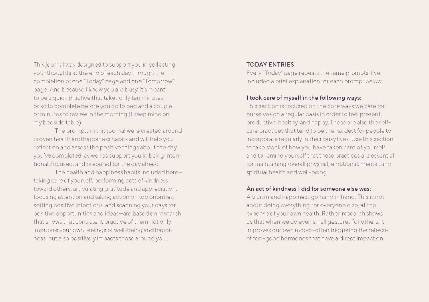 Abrams Calm the Chaos Journal dagbok ro