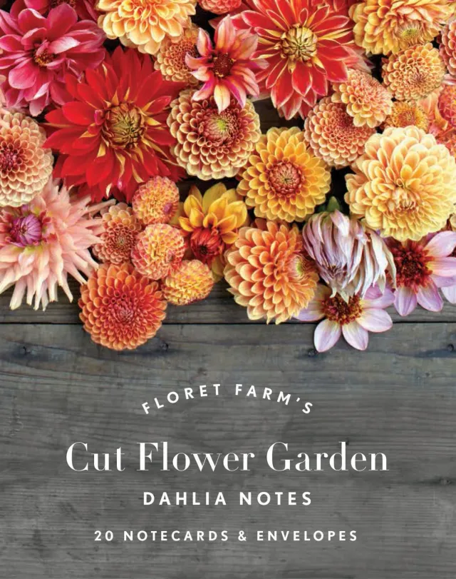 Chronicle Books Floret Farm Dahlia notatkort – 20-pk med konvolutter