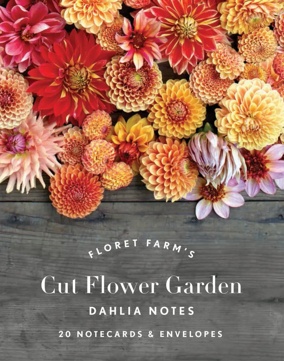 Floret Farm Dahlia Notes notatkort 20 stk blomster konvolutt