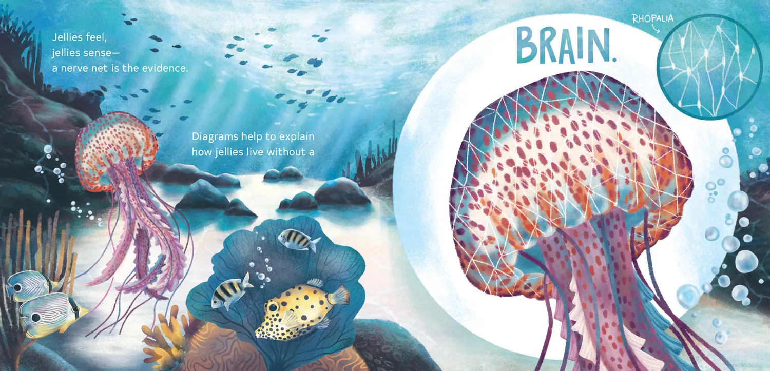 Chronicle Secrets of the Jellies barnebok maneter