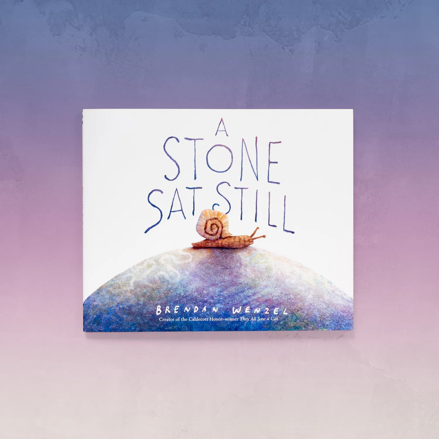 Chronicle Books A Stone Sat Still bildebok innbundet om natur