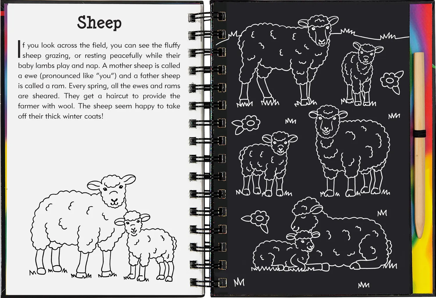 Peter Pauper Press On The Farm Scratch and Sketch skrapebok