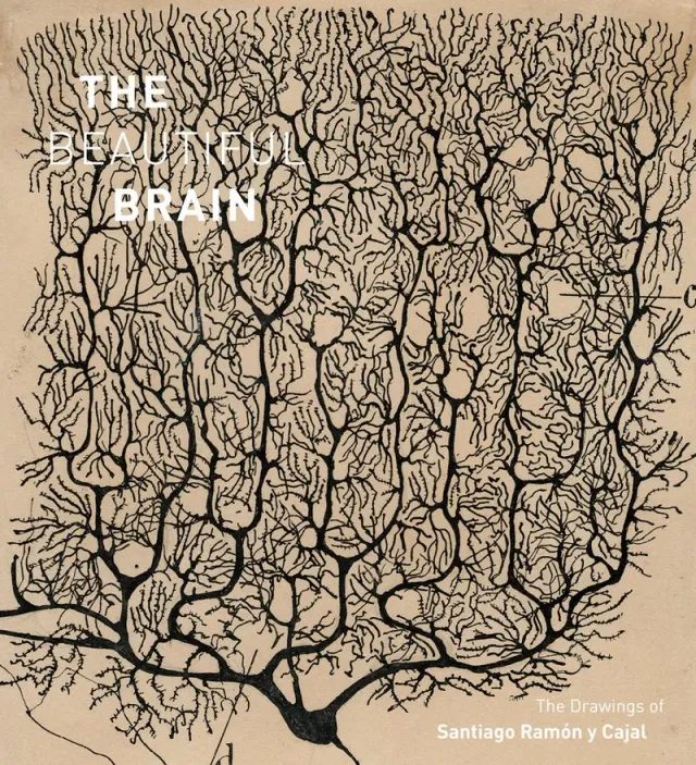 Abrams The Beautiful Brain Drawings Santiago Ramon y Cajal bok innbundet