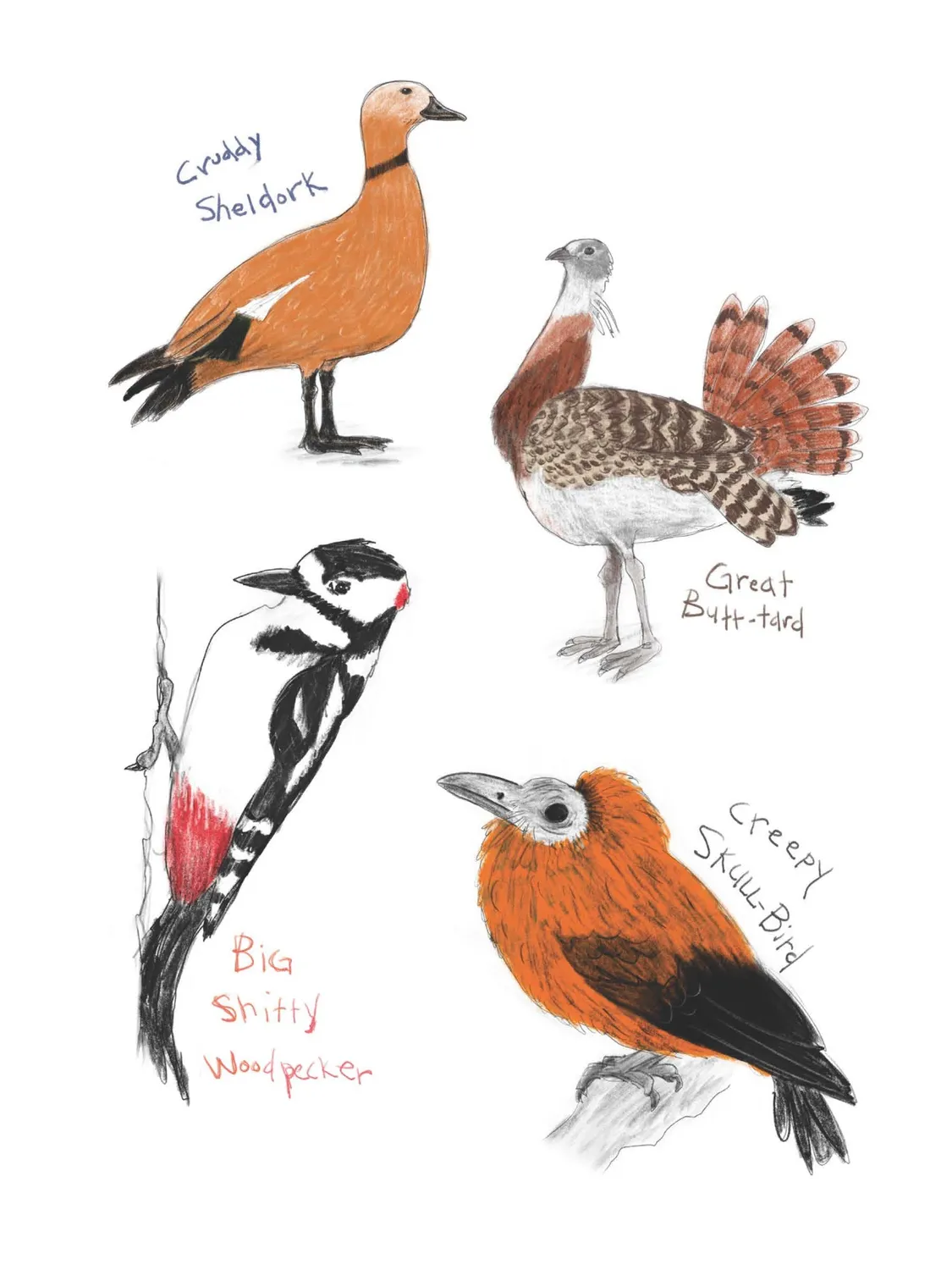 Abrams and Chronicle Field Guide Dumb Birds klistremerkebok 100+