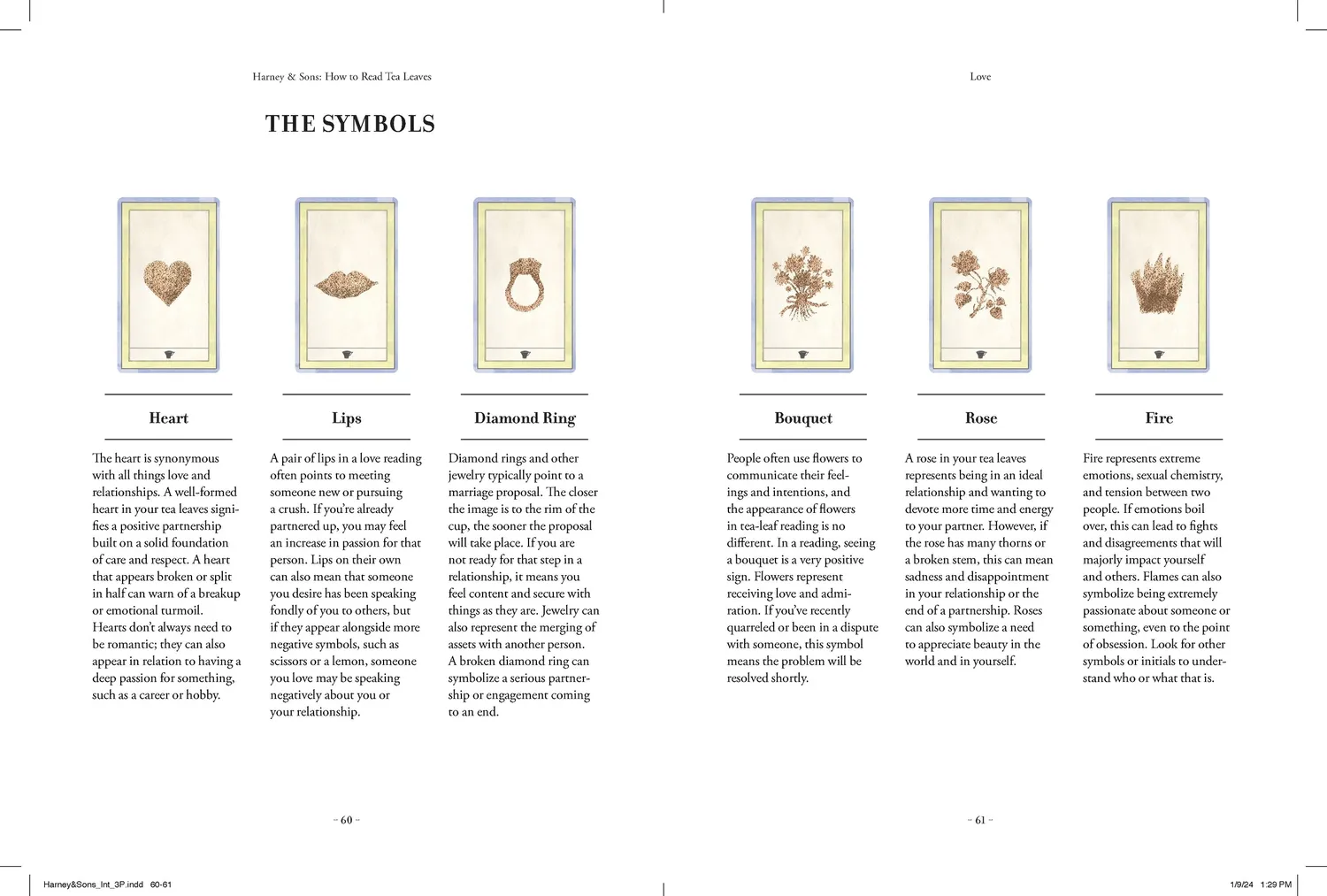 Harney & Sons How to Read Tea Leaves kortstokk guidebok