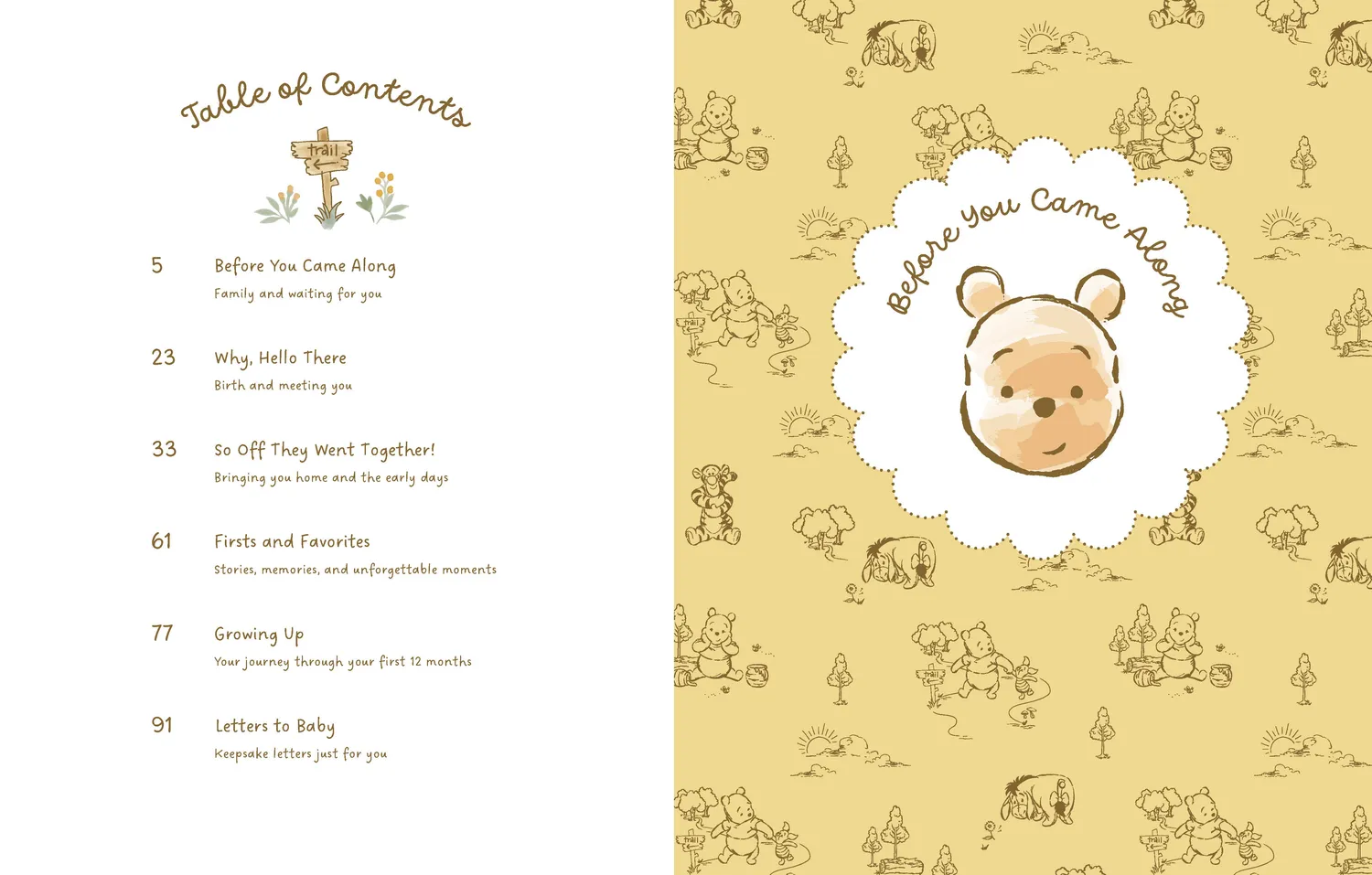 Disney Winnie the Pooh Baby Book minnebok baby