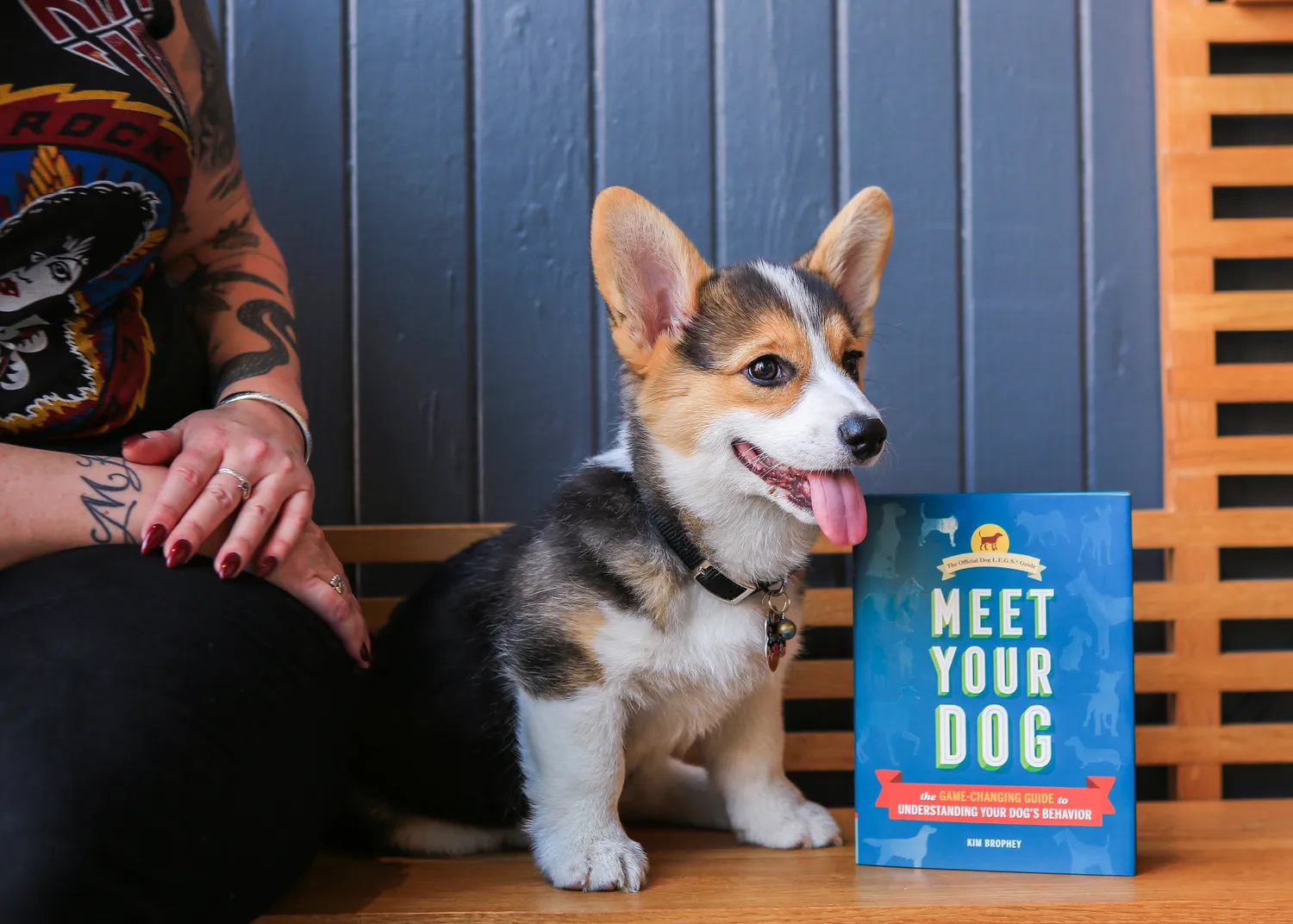 Meet Your Dog innbundet hundebok om adferd