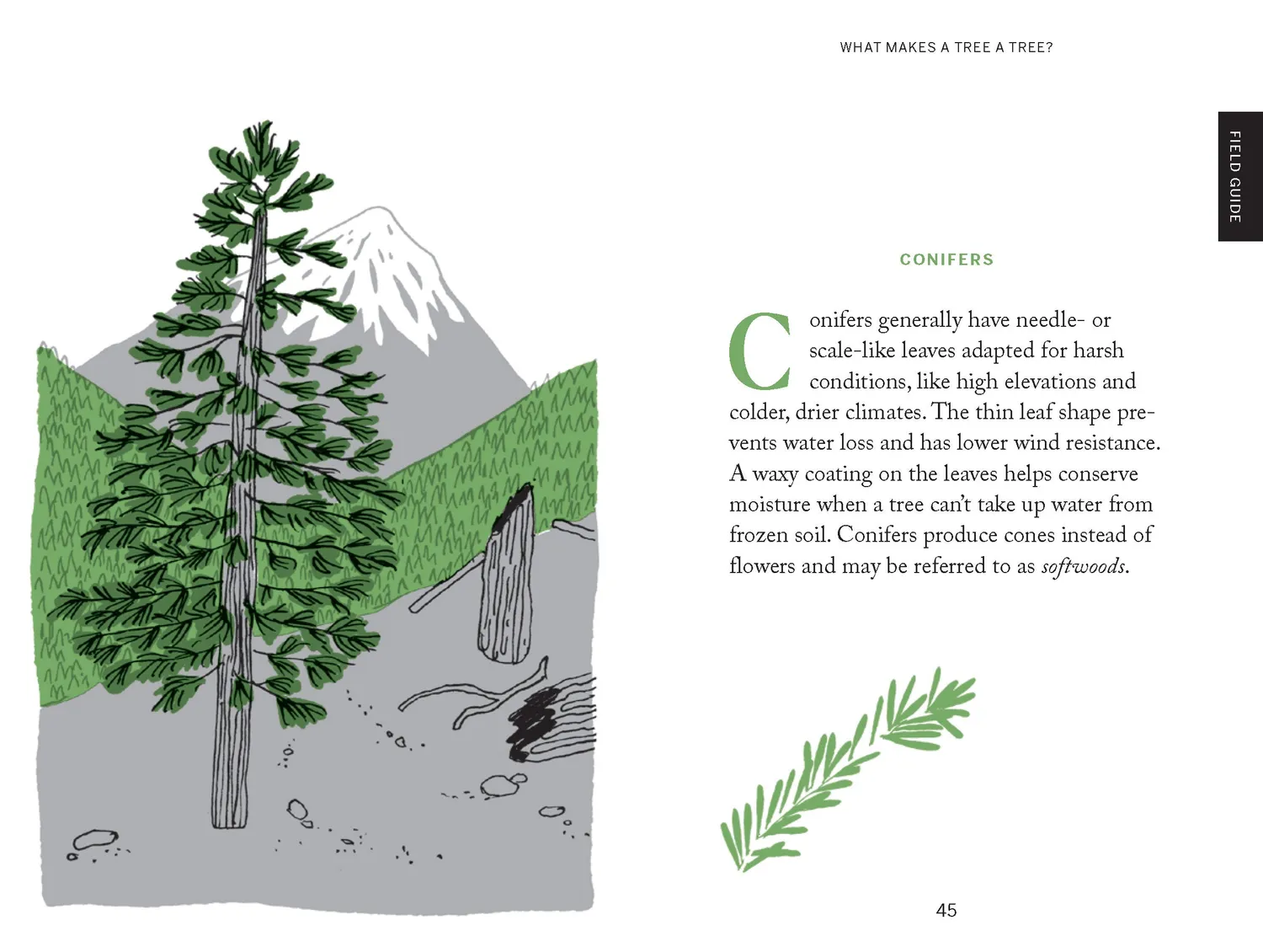 Pocket Nature Tree Hugging innbundet naturbok