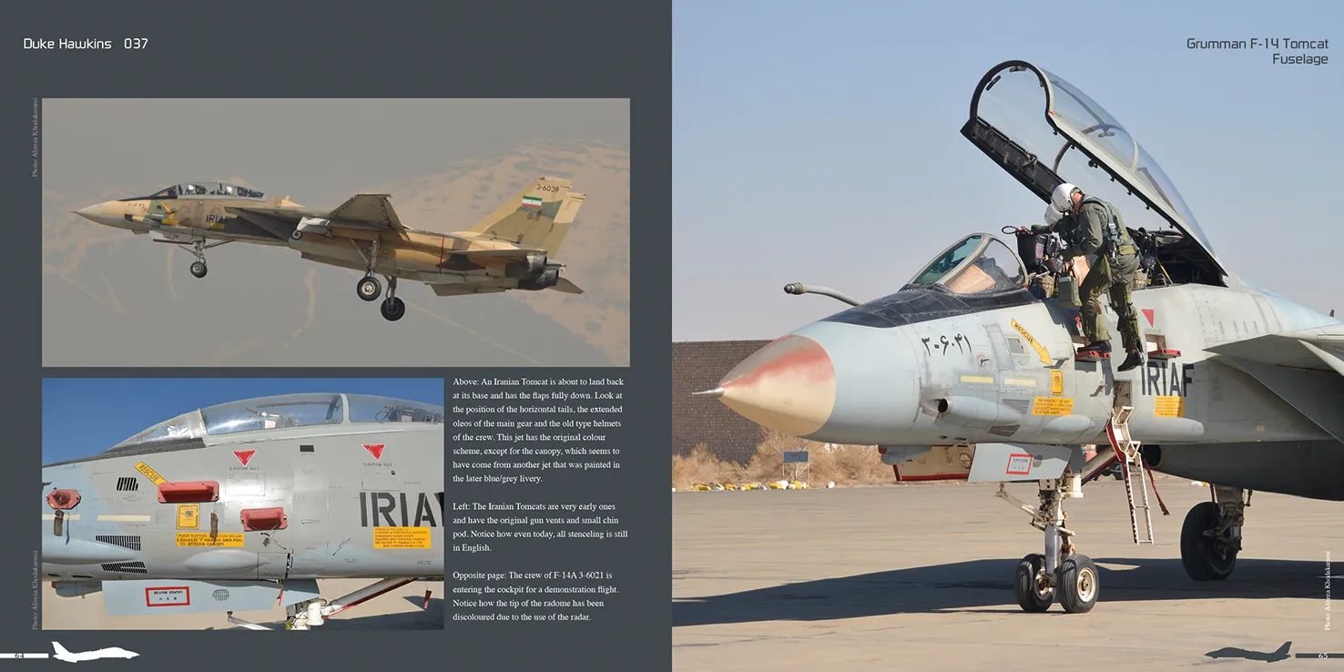 Duke Hawkins Grumman F-14 Tomcat bok 220 sider