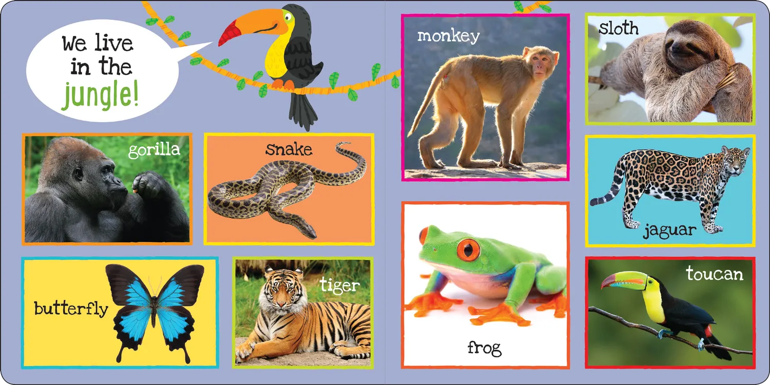 Peter Pauper Press My First 101 Animals pekebok