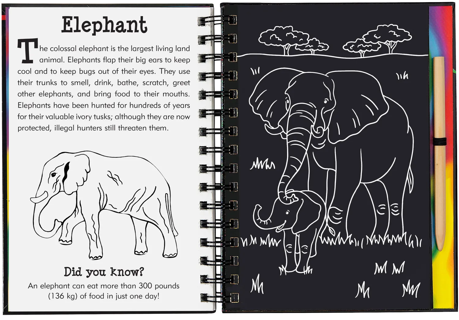Peter Pauper Press Scratch and Sketch Wild Safari skrapebok safaridyr