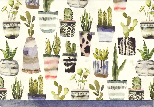 Peter Pauper Press Watercolor Succulents notatkort 14-pk gullfolie