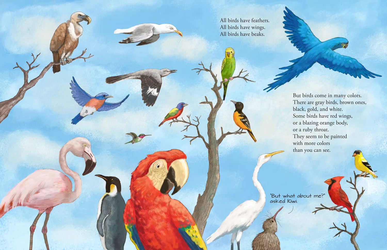 Peter Pauper Press All the Birds in the World bildebok innbundet 3-8 år